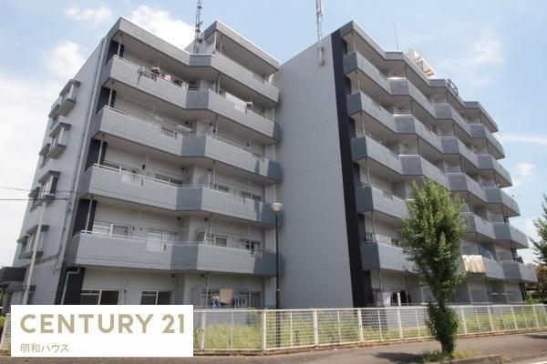 ���B������ �O�ώʐ^