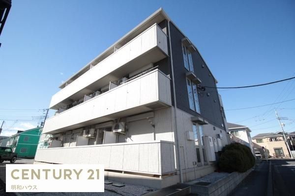 Luce del sole �O�ώʐ^