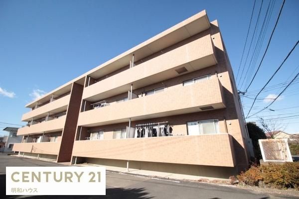 ��T���W�f���X�A�[���A �O�ώʐ^