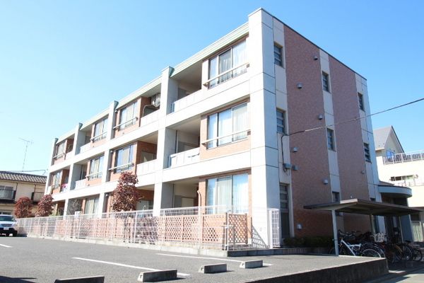 �G�N���[���}�� �O�ώʐ^